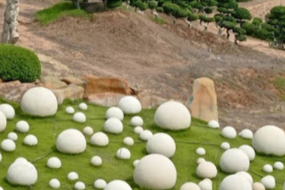 Experium Eco Park Hyderabad